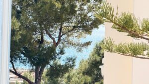 puerto portals apartment